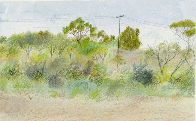 Landscape painting of Australia