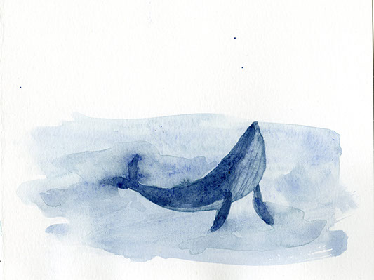 Water whale illustration